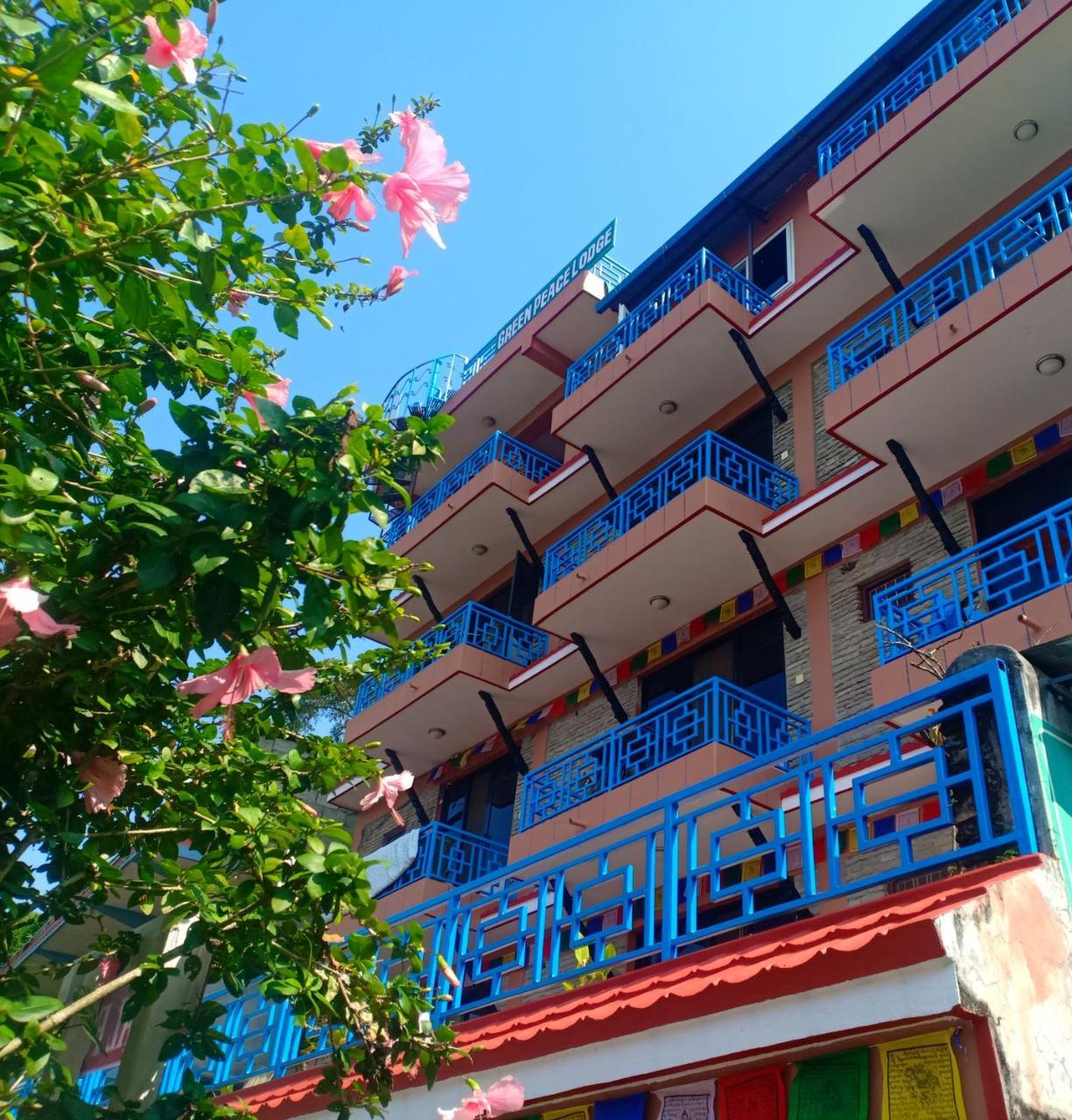 بوكْرا Little Pilgrim Lodge المظهر الخارجي الصورة