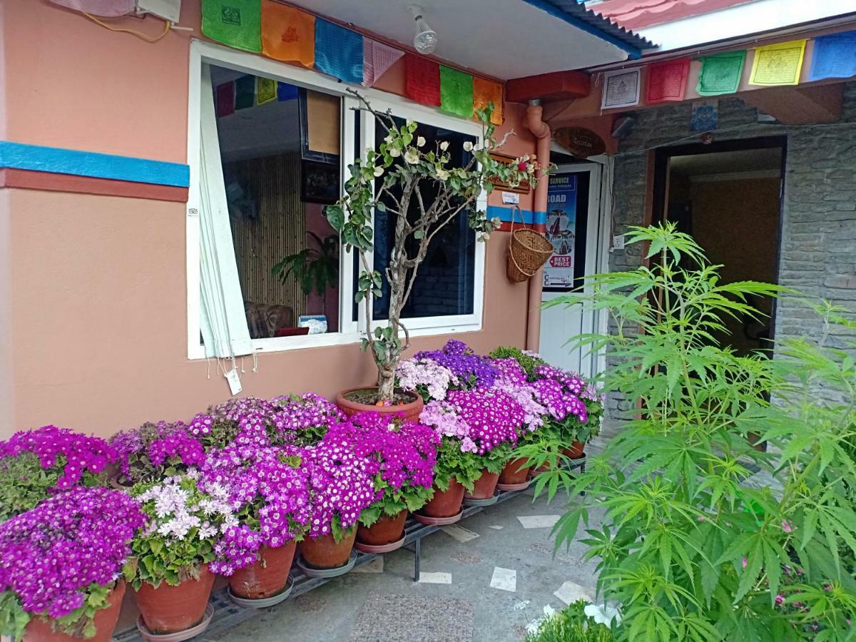بوكْرا Little Pilgrim Lodge المظهر الخارجي الصورة