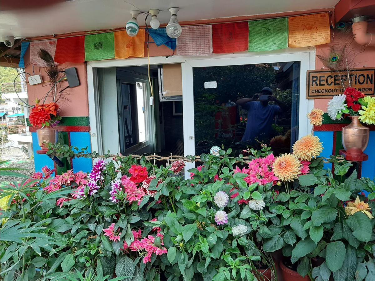 بوكْرا Little Pilgrim Lodge المظهر الخارجي الصورة